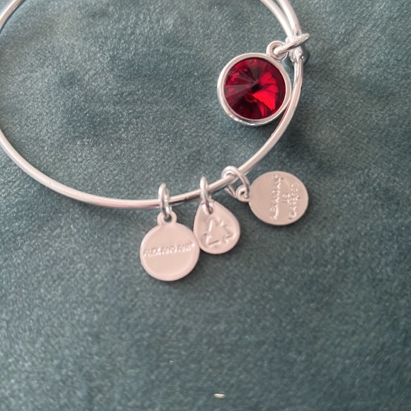 Brand new Alex and Ani charm bracelet - Picture 3 of 5